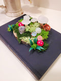 Blooming Book Stash Box- 'The Origin of Species' by Charles Darwin